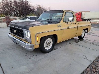 1979 Chevrolet C10 for sale
