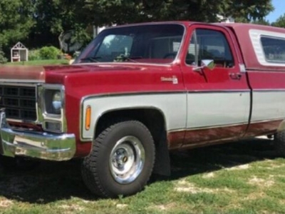1979 Chevrolet C10 for sale