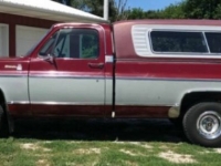 1979 Chevrolet C10 for sale in Michigan (ID-109988)