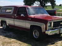 1979 Chevrolet C10 for sale in Michigan (ID-109988)