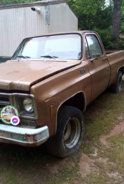 1979 Chevrolet C10 for sale in Michigan (ID-116028)