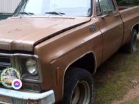 1979 Chevrolet C10 for sale in Michigan (ID-116028)