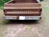 1979 Chevrolet C10 for sale in Michigan (ID-116028)