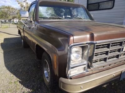 1979 Chevrolet C10 for sale 1979 Chevrolet C10 for sale