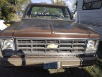 1979 Chevrolet C10 for sale in Michigan (ID-116174)