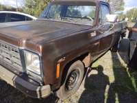 1979 Chevrolet C10 for sale in Michigan (ID-116174)