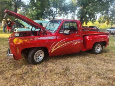 1979 Chevrolet C10 for sale