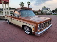 1979 Chevrolet C10 for sale in Michigan (ID-121428)