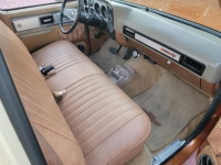 1979 Chevrolet C10 for sale in Michigan (ID-121428)