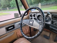1979 Chevrolet C10 for sale in Michigan (ID-121428)