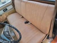 1979 Chevrolet C10 for sale in Michigan (ID-121428)