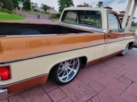 1979 Chevrolet C10 for sale in Michigan (ID-121428)