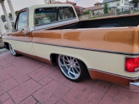 1979 Chevrolet C10 for sale in Michigan (ID-121428)