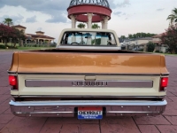 1979 Chevrolet C10 for sale in Michigan (ID-121428)