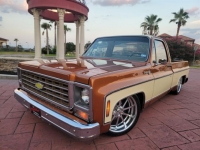 1979 Chevrolet C10 for sale in Michigan (ID-121428)
