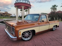 1979 Chevrolet C10 for sale in Michigan (ID-121428)