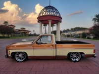1979 Chevrolet C10 for sale in Michigan (ID-121428)