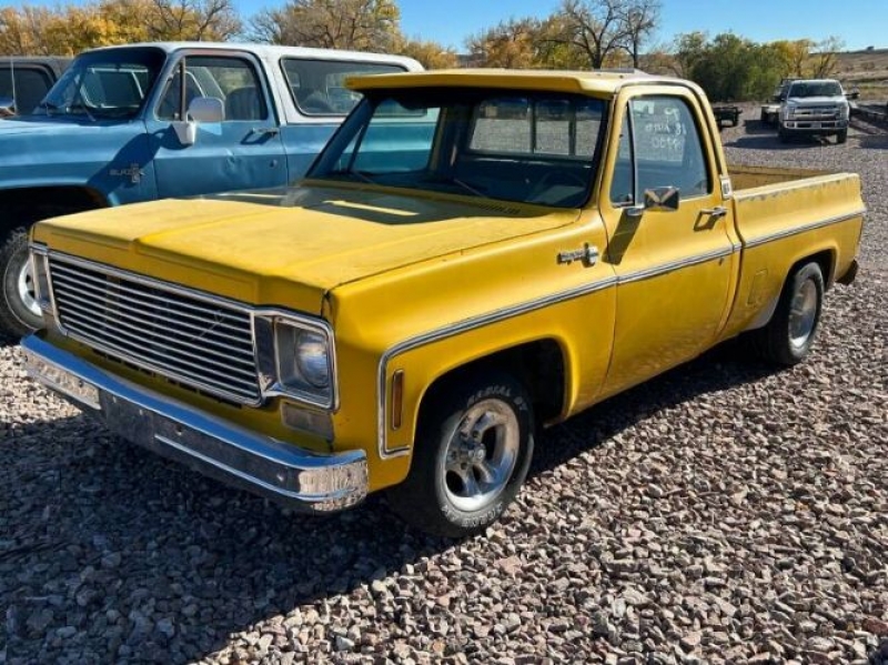 1979 Chevrolet C10 for sale in Michigan (ID-122293) 1979 Chevrolet C10 for sale in Michigan (ID-122293)
