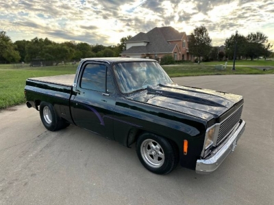 1979 Chevrolet C10 for sale