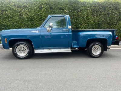 1979 Chevrolet C10 for sale