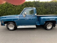 1979 Chevrolet C10 for sale in Michigan (ID-126294)