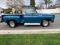 1979 Chevrolet C10 for sale in Michigan (ID-126294)