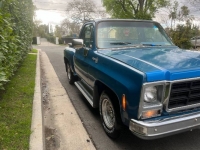 1979 Chevrolet C10 for sale in Michigan (ID-126294)
