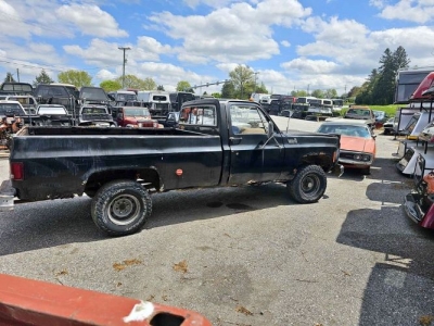 1979 Chevrolet C10 for sale