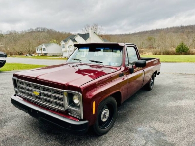 1979 Chevrolet C10 for sale