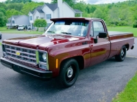 1979 Chevrolet C10 for sale in Michigan (ID-130901)