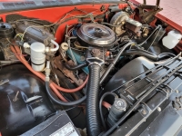 1979 Chevrolet C10 for sale (ID-124751)