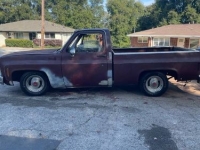1979 Chevrolet C10 for sale in Michigan (ID-134847)