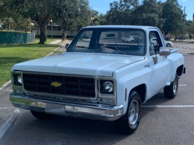 1979 Chevrolet C10 for sale