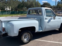 1979 Chevrolet C10 for sale in Michigan (ID-135487)