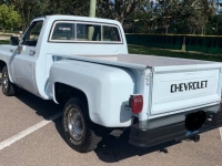 1979 Chevrolet C10 for sale in Michigan (ID-135487)