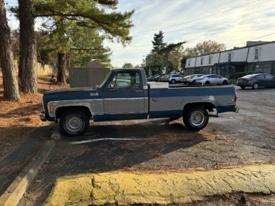 1979 Chevrolet C10 for sale