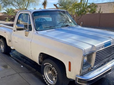 1979 Chevrolet C10 for sale