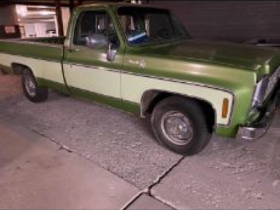 1979 Chevrolet C10 for sale