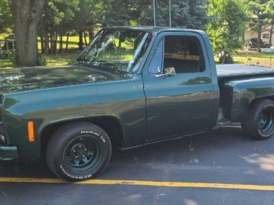 1979 Chevrolet C10 for sale