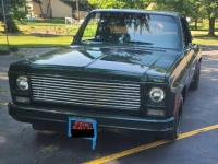 1979 Chevrolet C10 for sale in Michigan (ID-145850)