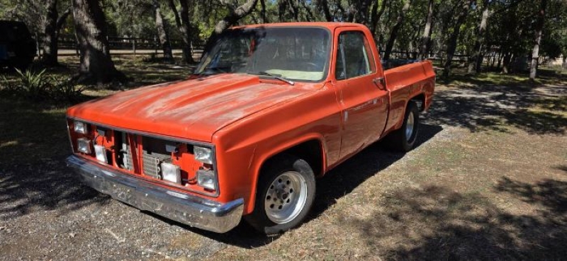 1979 Chevrolet C10 for sale in Michigan (ID-146549)