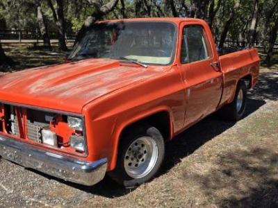 1979 Chevrolet C10 for sale