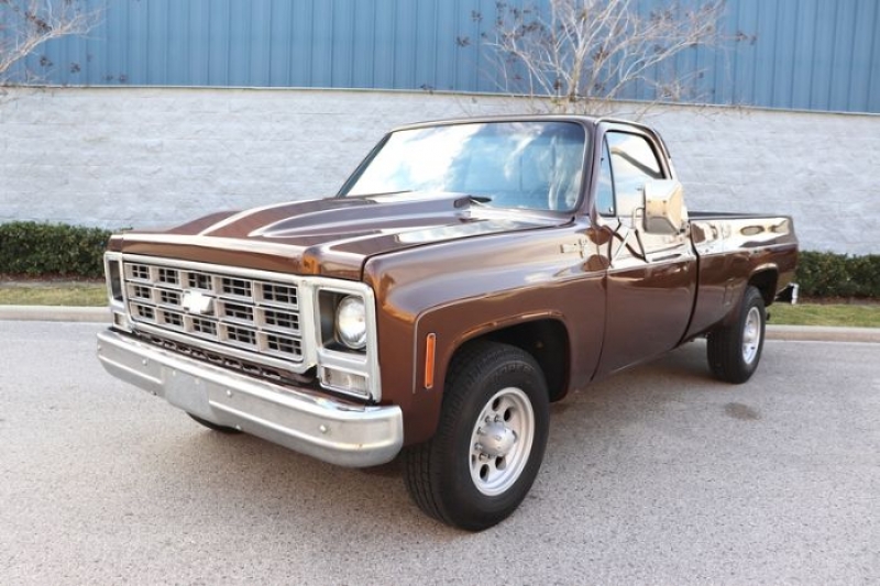 1979 Chevrolet C20 for sale in Michigan (ID-96413)