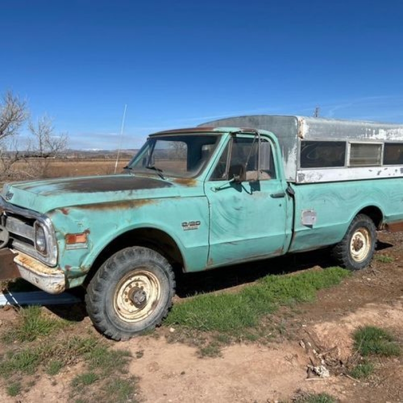 1979 Chevrolet C20 for sale in Michigan (ID-97831)