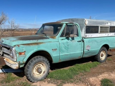 1979 Chevrolet C20 for sale