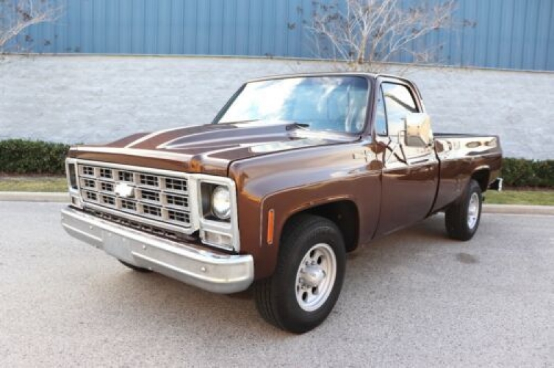 1979 Chevrolet C20 for sale in Michigan (ID-97901)
