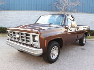 1979 Chevrolet C20 for sale