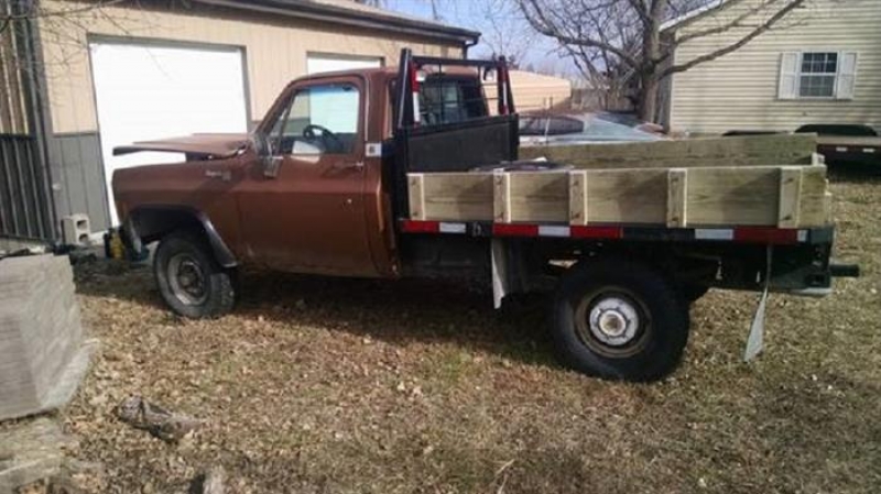1979 Chevrolet C20 for sale (ID-99166)