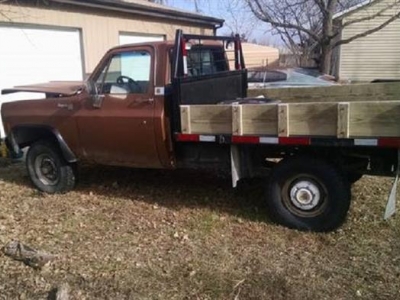 1979 Chevrolet C20 for sale