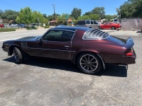 1979 Chevrolet Camaro for sale in Michigan (ID-109014)